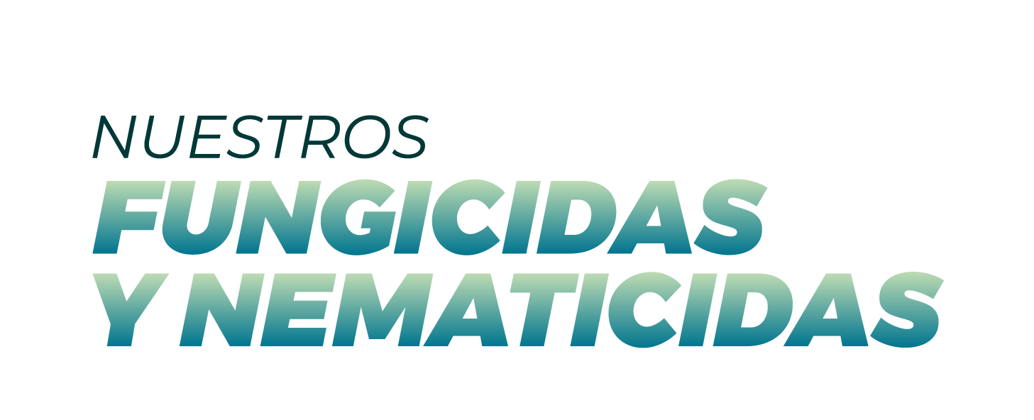 Logotipo de la empresa
